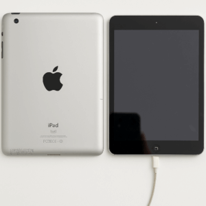 Apple iPad 2nd Gen (A1395) 9"