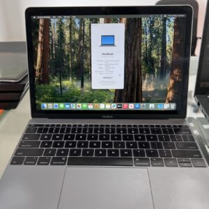 Apple MacBook Retina 12 inch A1534 16GB RAM