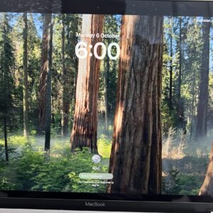 MacBook Retina 12" Display Screens
