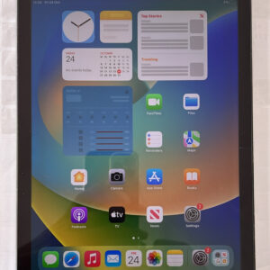 iPad Pro 9.7-inch (A1673) 1st Gen - 256GB - Silver - WiFi